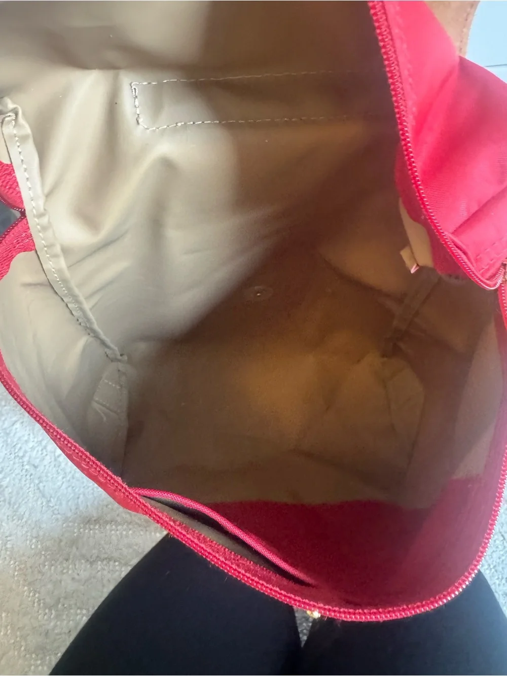 Longchamp Backpack with Brown Leather Flap - Classic Women's Bag